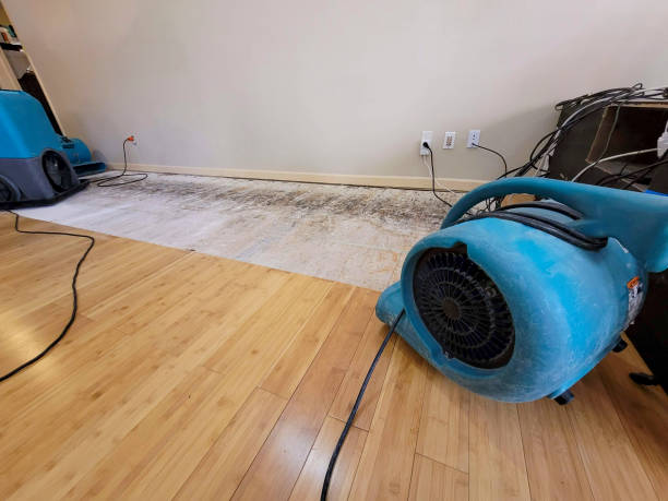 Professional Water Damage Repair technician working in Running Springs, CA